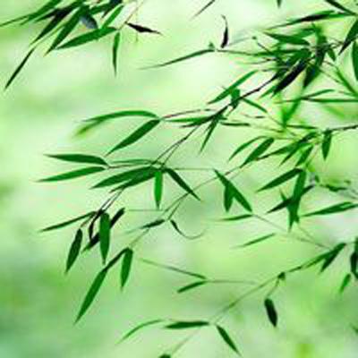 中美双方就特朗普访华事保持着沟通